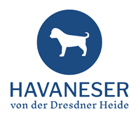 Havaneser von der Dresdner Heide